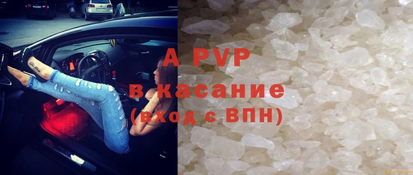 СК Саяногорск