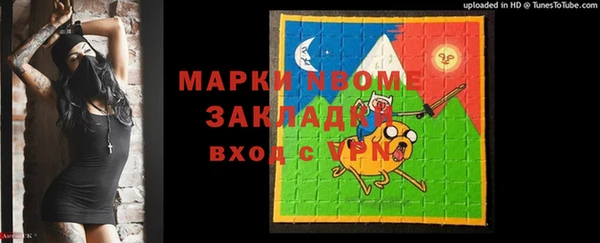 хмурый Алзамай