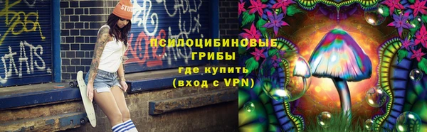 спиды Арсеньев