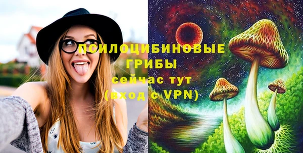 хмурый Армянск