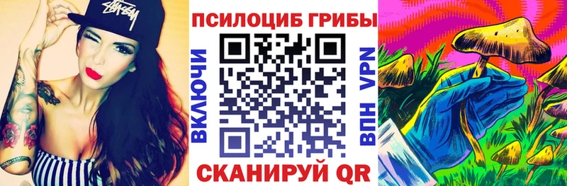 маркетплейс состав  Талица  Псилоцибиновые грибы Cubensis 